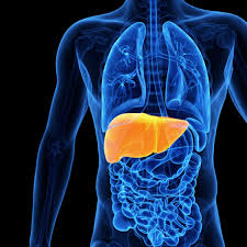 hepatitis