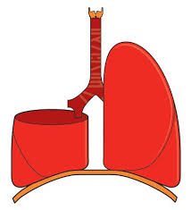 lobectomy